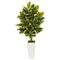 4ft. Variegated Rubber Leaf Tree In White Tower Vase